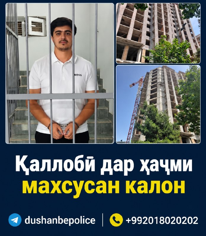 Иллюстрация к посту канала dushanbepolice 🇹🇯