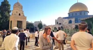 על רקע השתיקה העממית הבינלאומית והאסלאמית, המתנחלים כובשים את אל-אקצא מהבוקר.
