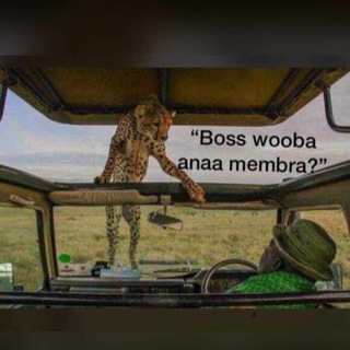 Funny Ghana😂😂🇬🇭🇬🇭 Telegram Group Link