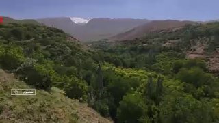 تولید سیب درختی شغل ۹۰ درصد ساکنان روستا‌های سمیرم — خبر صداوسیما