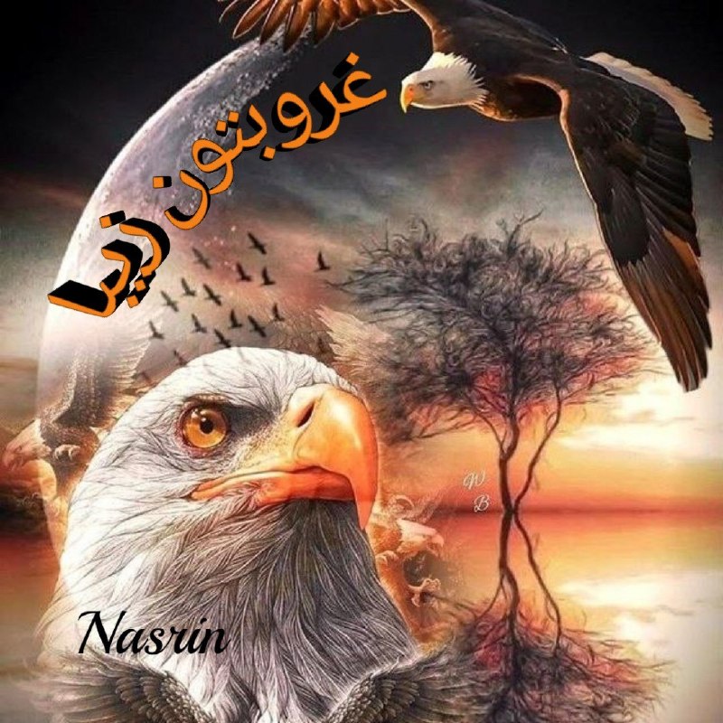 کانال گلستان شعر📕وآهنگ🎧: غروبتون زیبا 🍃❤🍃❤🍃