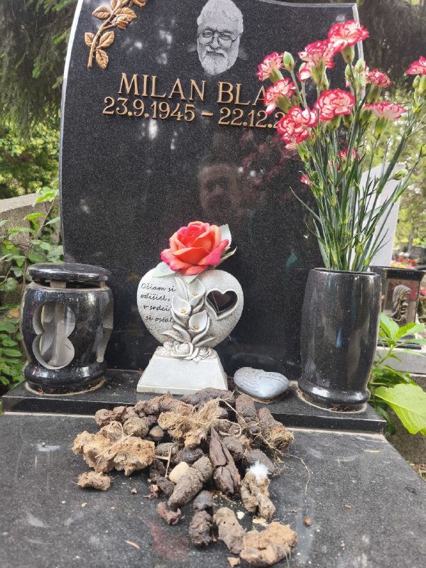 Image from a post by Ľuboš Blaha