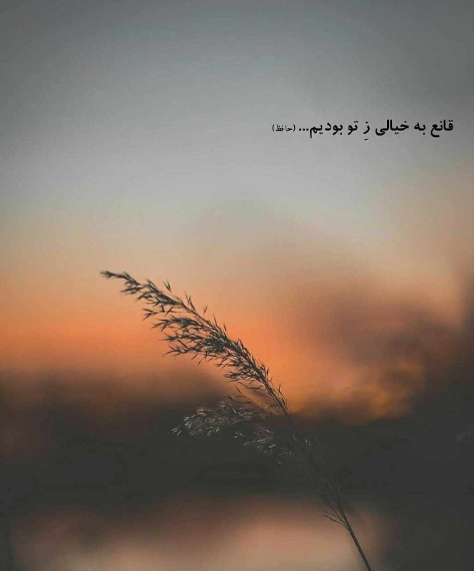 | .حالِ دِلَمـ . |: قانع به خیالے زِ تو بودیم...@my_he