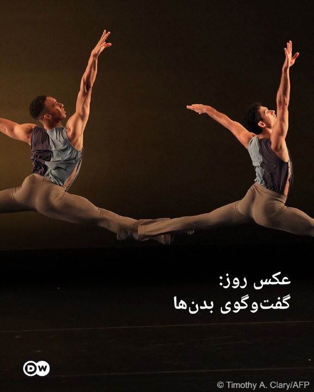 📸 תמונת היום: גופות Saidoguy