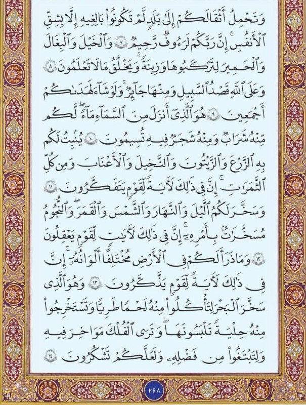🇮🇷اخبار داغ رفسنجان_روراستی🇮🇷: ♦️تلاوت روزانه🔹#متن_عربی #صفحه_268 سوره مبارکه #نحل🔥اخبار داغ رفسنجان/ روراستی📢 eitaa.com/rorasti💬 rubika.ir/rorasti📩 sp