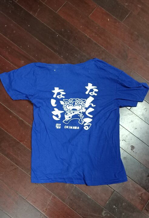 十二天,一個人浪蕩遨遊沖繩群島