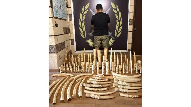 96 עתיקות שנהב בשווי 100,000 דולר אמריקאי נגנבו בנבטי. אדם הציע אותם למכירה. אגף ההסברה עצר אותו, והוא הצהי…