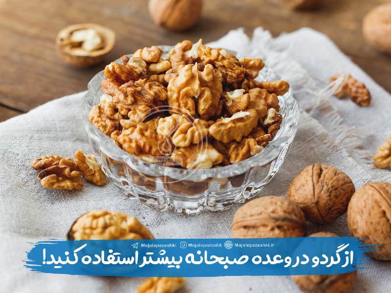 🌺میگون در گذر زمان🌺: از گردو در وعده صبحانه بیشتر استفاده کنید !▫️مغز گردو سرشار از ویتامین B و اسیدفولیک می باشد که این ترکیبات باعث تقویت ا