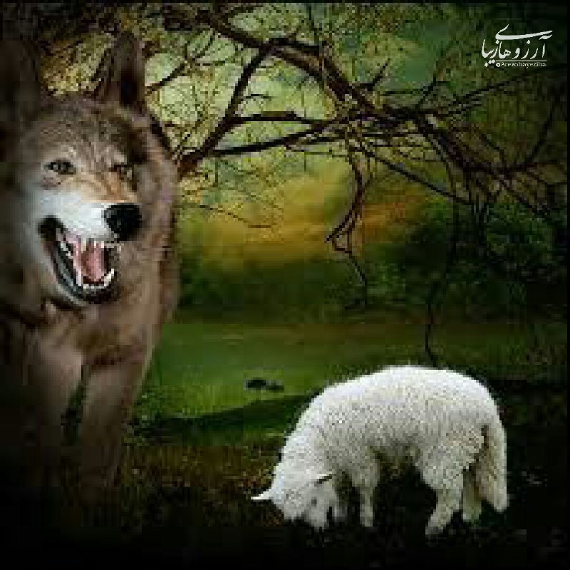 ❤ذوق مستان❤️: نانوایی شلوغ بود و چوپان،مدام این پا و آن پا میکرد....نانوا به او گفت:چرا اینقدر نگرانی؟گفت: گوسفندانم را رها کردهام