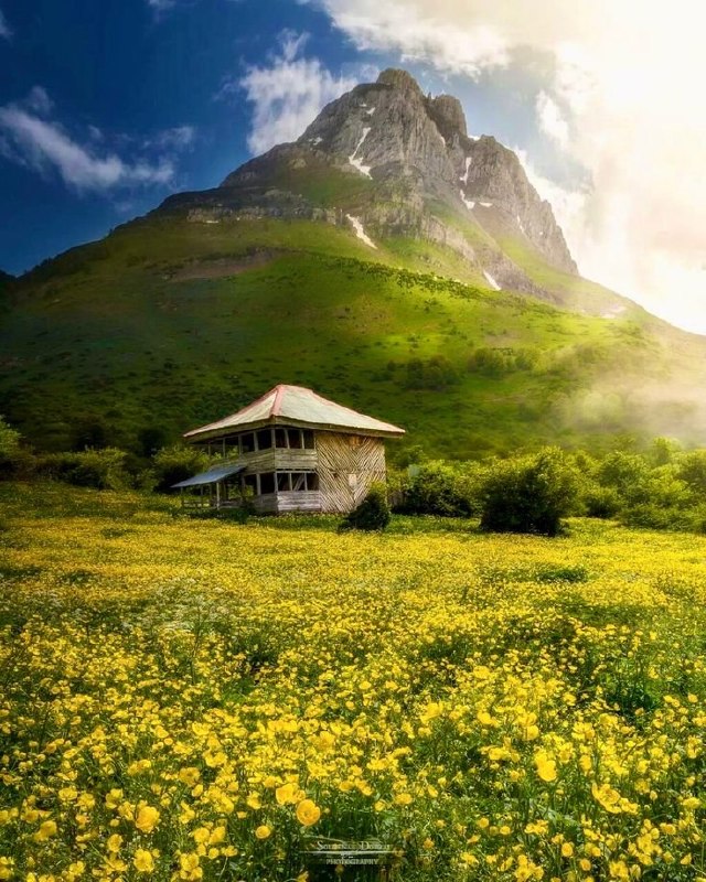 National Geographic farsi: ایران قشنگ! 😍🌿طبیعت خیره‌کننده شهر تنکابن تو استان زیبای مازندران؛ یه تیکه از بهشت سرسبز تو شمال ایران.🌏 | @NationalGeog