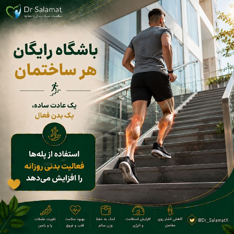 🌹 شبنم 🌹: 🔣 از پلهها بهعنوان باشگاه رایگان استفاده کنید🤩بالا رفتن از پلهها یک فعالیت هوازی و قدرتی ساده است که میتواند به تقوی