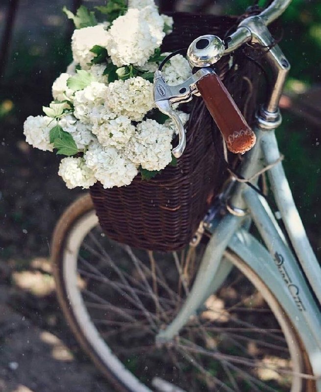 بیداری بیان: بهترین روش ،برای نیک آغاز کردن یک روز این است : به هنگام بیدار شدن ،بیندیشیم که امروز ؛چگونه میتوانیم دست کم یک نفر را