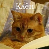 Нэофобия живёт