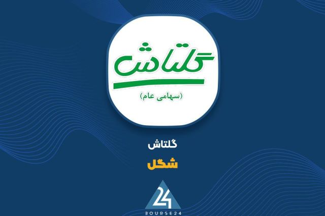 שגל" אמר על הסיבות לצמיחה ברווח התפעולי בתקופה של 9 חודשים חברת גולטש עם הסמל "שגל" בעקבות השינויים ברווח ה…