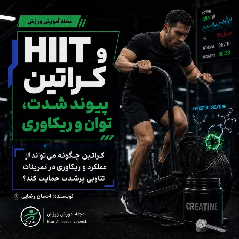 مرجع رسمی دوره های مربیگری: تمرینات پرشدت تناوبی مزایا و مکمل های موثر در HIIT ⁉️چرا HIIT با زمان کمتر میتواند همان اثر تمرینات طولانی را داشته باش