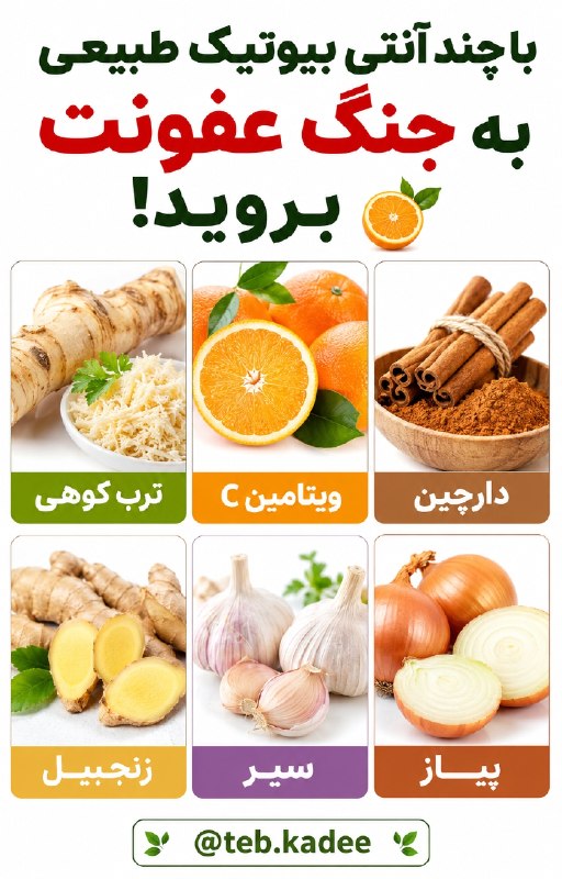 سیب سلامت🍏: ☑️ خستگی مزمن رو ساده نگیرید!اگر مدام احساس خستگی و بیحالی دارید، ممکنه فقط به خاطر کمخوابی نباشه.🔸 کمخونی🔸 مشکلات قل