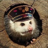Даня орёт