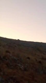 דחוף: הימצאותם של עדרי מתנחלים בהר הכפר עסכר אל-בלד, מזרחית לשכם.