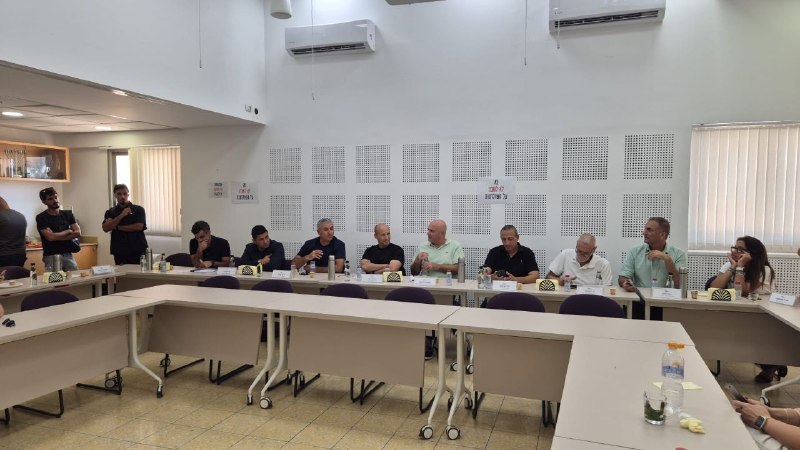 אור רביד