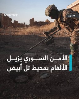 In order to secure the area and facilitate the return of the residents to it, the bomb disposal teams of the Syrian Ministry of Defense continue to clear mines and explosive devices planted by terrorist organizations in the villages around Tal Abyad in northern Syria.