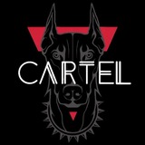 Cartel Media 🪐