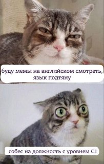Чтобы таких ситуаций не происходило, язык лучше подтягивать заранее и в комфортной обстановке. А помогут тебе с молодые и невыгоревшие преподы. На первое занятие можно записаться тут:  https://lentach.media/Y3Zpd