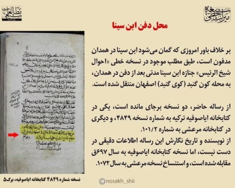 ❤ذوق مستان❤️: 🌸🪻🌸🪻@zugemastan🌹