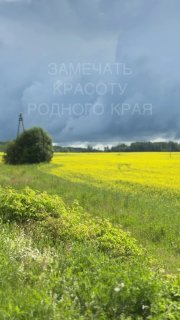 Красота нашего марийского края Сегодня ездили навестить дочку в лагере, а по дороге наблюдали это сказочное буйство красок. Порою стоит отложить не... - изображение 4 - сегодня, красота, нашего
