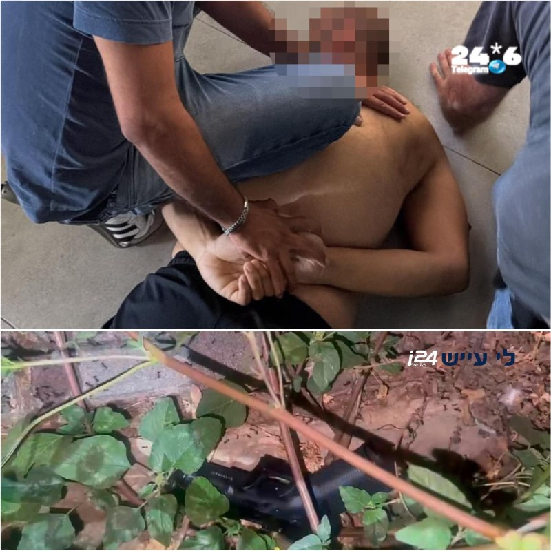 נעצר חשוד ברצח בטייבה: אותר בטירה עם אמצעי חבלה וכלי נשק
