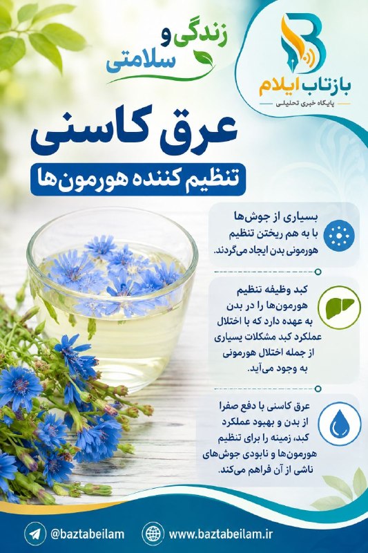 بازتاب ایلام: 💥زندگی و سلامتیعرق کاسنی تنظیم کننده هورمونها💥بسیاری از جوشها با به هم ریختن تنظیم هورمونی بدن ایجاد میگردند. کبد وظی