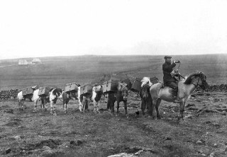 Delivery of postal items in Iceland, 1911Time Machine | Historical Photo