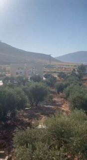 כוחות הכיבוש מסתערים על העיירה בית פוריק, מזרחית לשכם.
