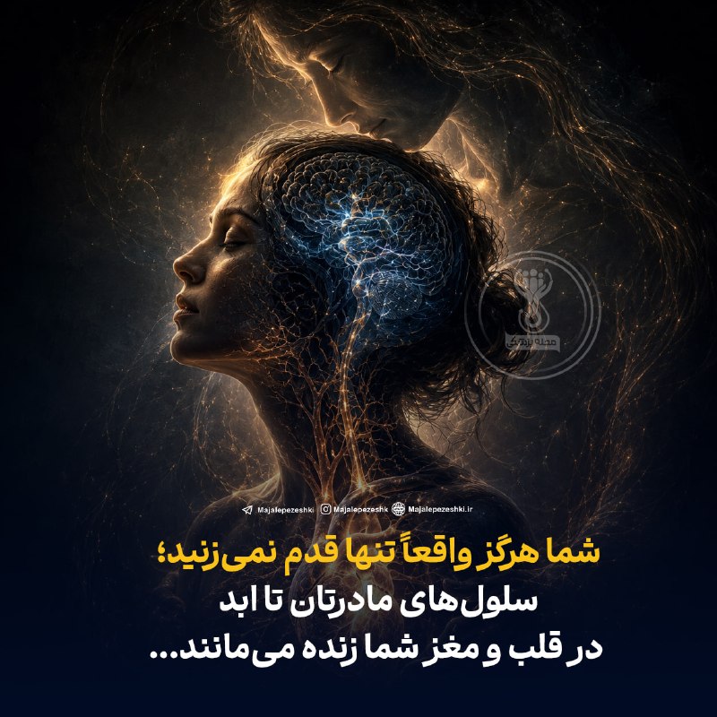 مجله پزشکی: علم تأیید میکند:شما هرگز واقعاً تنها قدم نمیزنید؛ سلولهای مادرتان تا ابد در قلب و مغز شما زنده میمانند😍◽️در دوران با