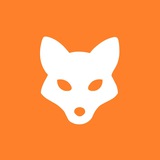 Witty Fox - Telegram Nodes Concept