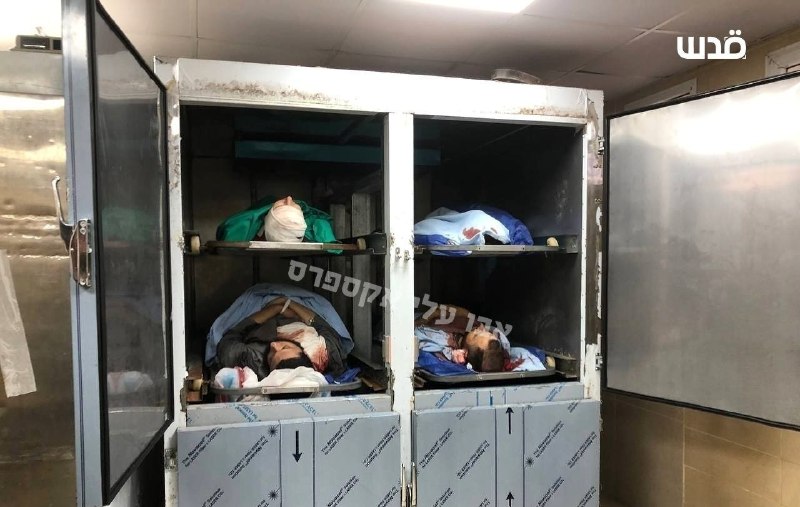 🔴 4 פלסטינים שנהרגו היום בהתנגשות עם שבויי ישראל