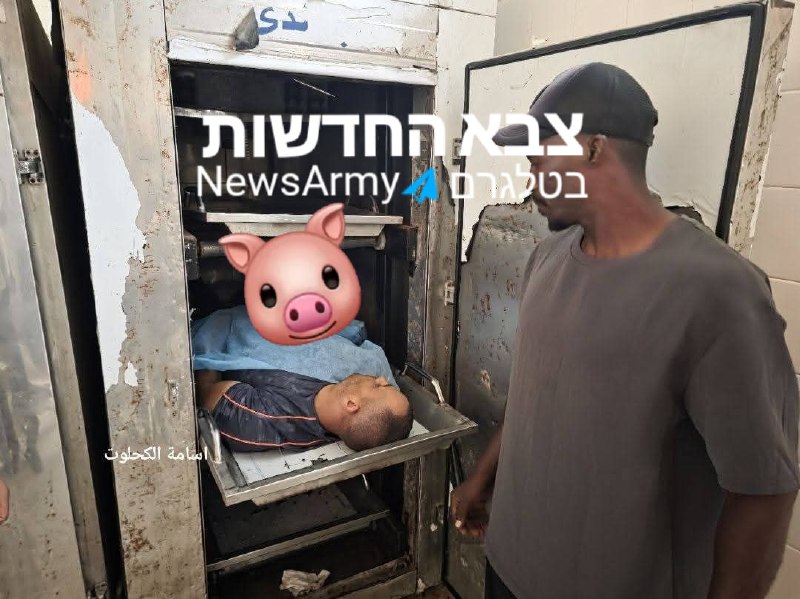 בעזה מדווחים על מחוסל מירי של כוחות צה"ל בדיר אל בלח במרכז הרצועה