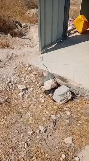 مستوطنون يقتحمون غرفة زراعية في حوارة جنوب الخليل