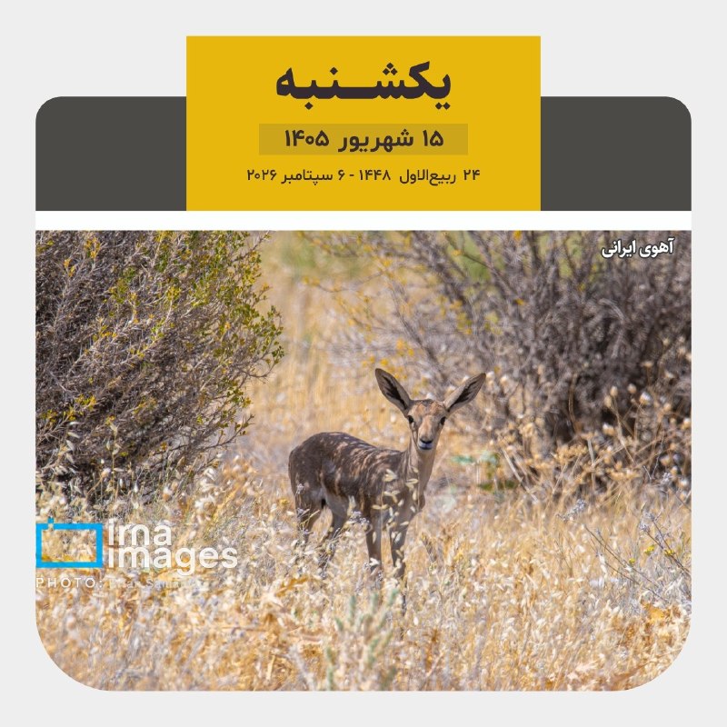 📆 היום יום ראשון, 15 בספטמבר