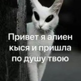 переходник эгберт