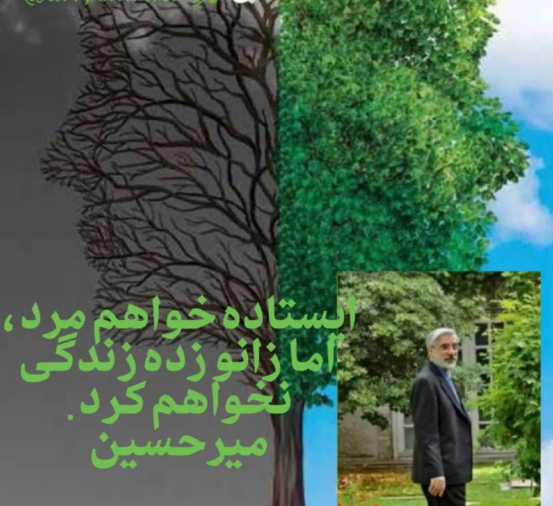 علیرضا کفایی(گاه نوشت) انسانم آرزوست: 🟢جای تعجب و حیرت بسیاری است که از آزادی میرحسین و تاج‌زاده ها وحشت دارند ولی از بمباران اسراییل و آمریکا ابایی ندارند‼️〽