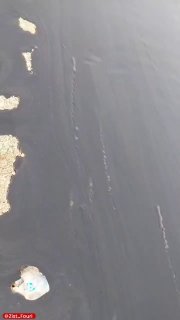 דליפת נפט זוהתה היום ליד האי קשם של איראן.