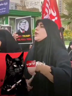 🚨🚨 בתנאי מלחמה נזרקות חיות שיעיות לרחוב, תוך הפגנה נגד הצניעות.