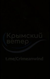 t.me