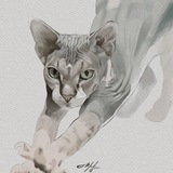 Шц art