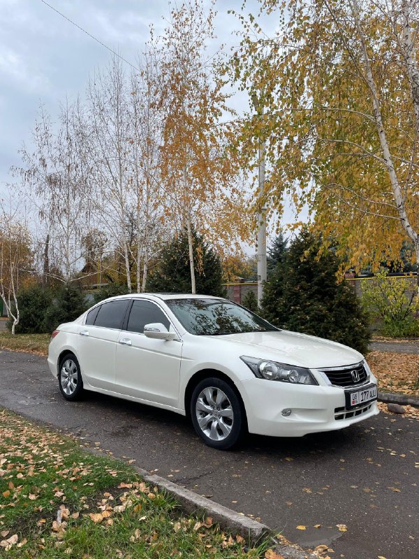 Honda Accord VIII 2009