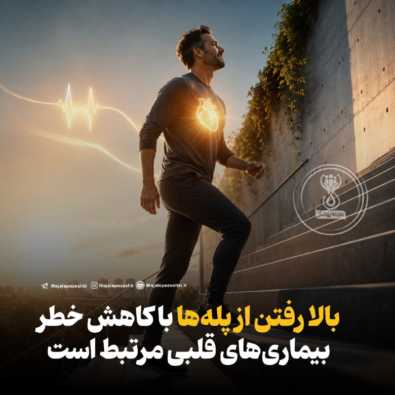 مجله پزشکی: بالا رفتن از پلهها با کاهش خطر بیماریهای قلبی مرتبط است!◽️یک مطالعه بزرگ با بررسی دادههای بیش از ۴۸۰ هزار نفر نشان می