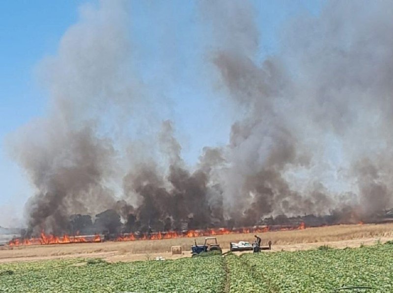 תמונה של הכיבוש בוער שטחים נרחבים של אדמות אזרחים במישור מארג' אבן עאמר בעיר ג'נין.