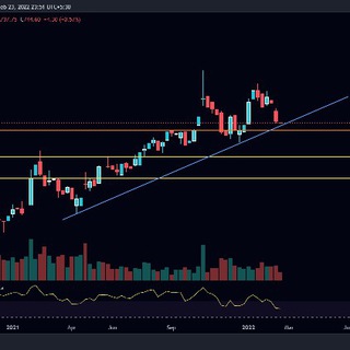 YEMENYON Telegram Group Link