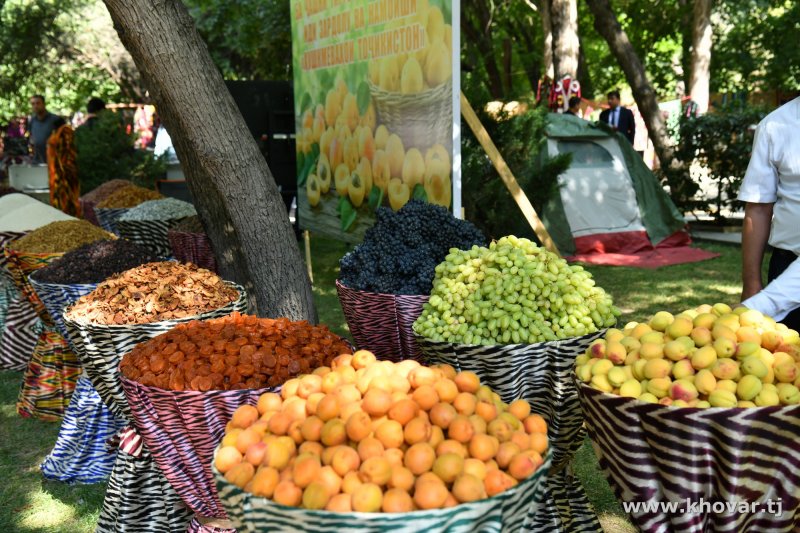 Climate change has caused a fall in fruit yields in Tajikistan