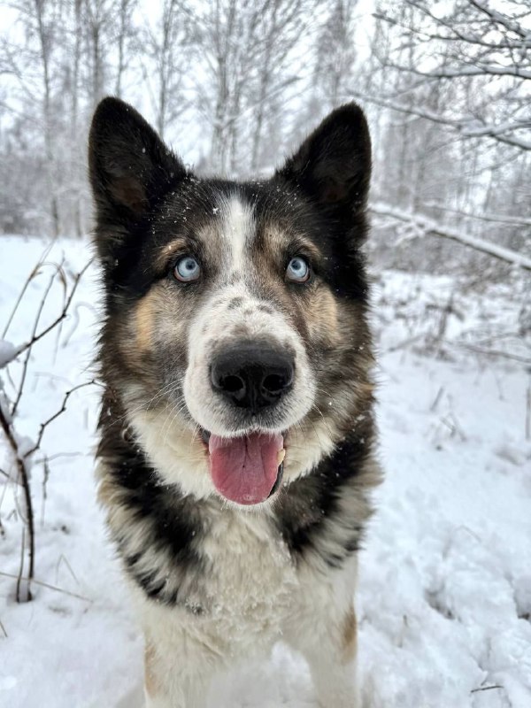 Изображение 1